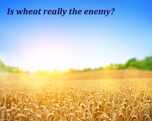 is wheat really the enemy?